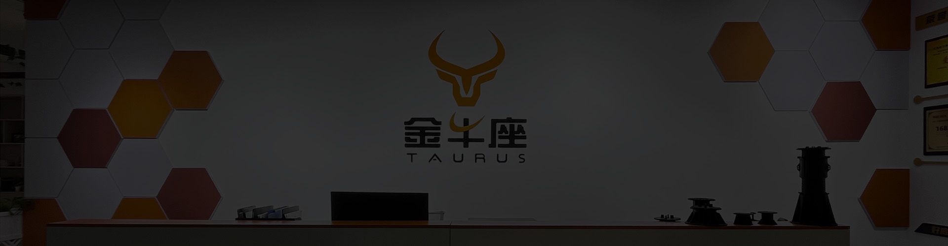 Taurus Engineering Systems