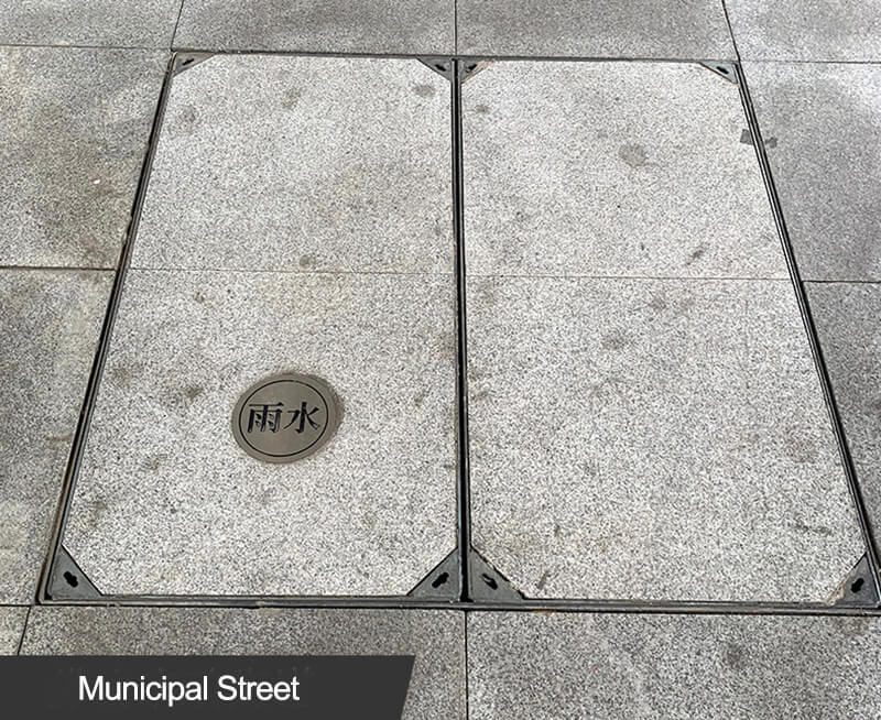 Taurus thumb Stainless Steel Manhole Cover
